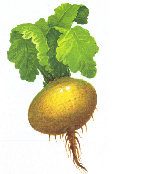 Turn to increase potency
