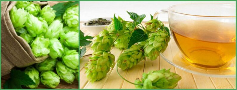 Hop cone decoction for potency after 50