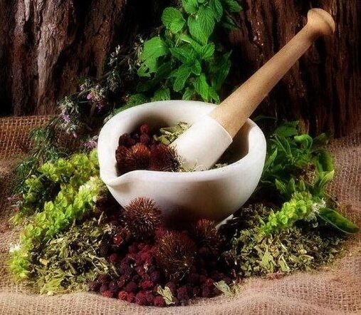 Medicinal herbs will be helpful in increasing potency in men