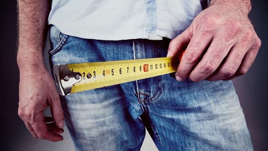 The average size of a man's penis during erection is 13 cm